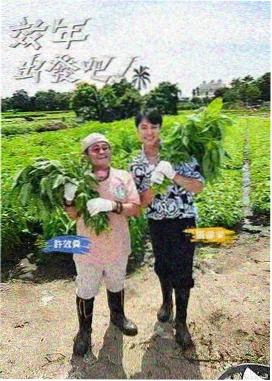 褐色影院 - 幕后三十七度